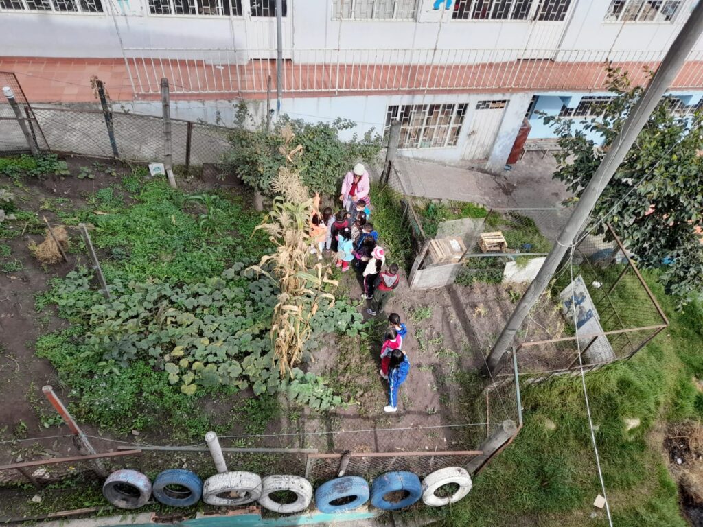 Proyectos Ciencias1