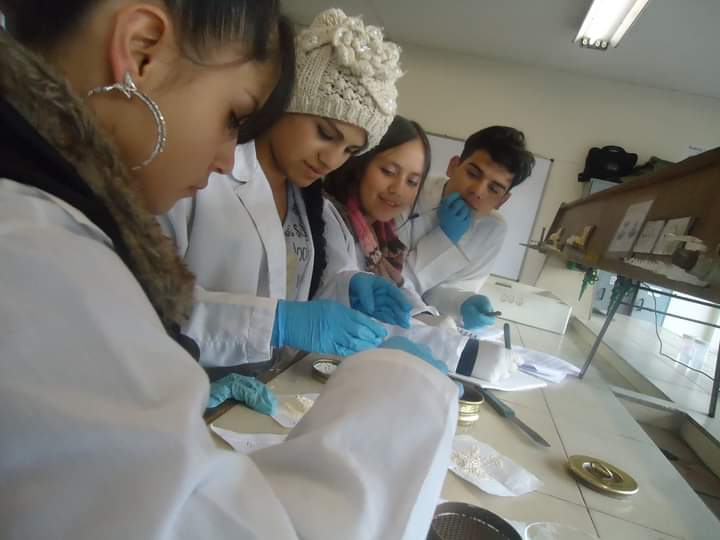Imagen 2