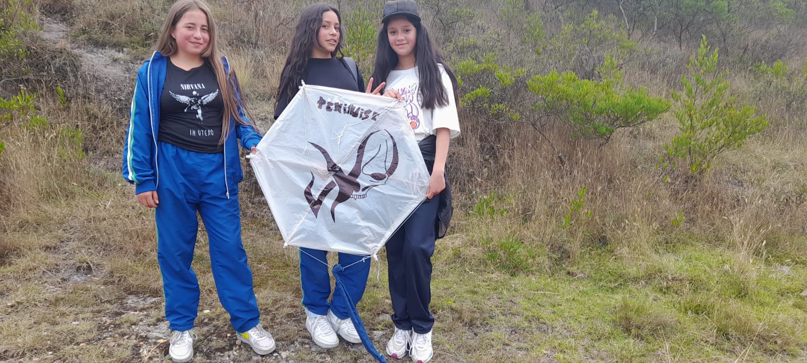 Imagen 5